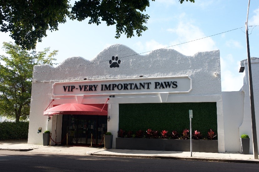 Case Study: How Very Important Paws Created a Process of Innovation on theprofitrecipe.com