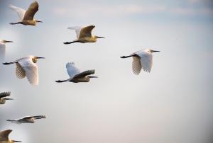 Good Leaders are Authentic and Vulnerable— and They Share These Traits on theprofitrecipe.com