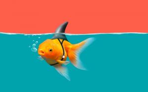 Imposter Syndrome: Be Open About Your Fears to Conquer Them on theprofitrecipe.com