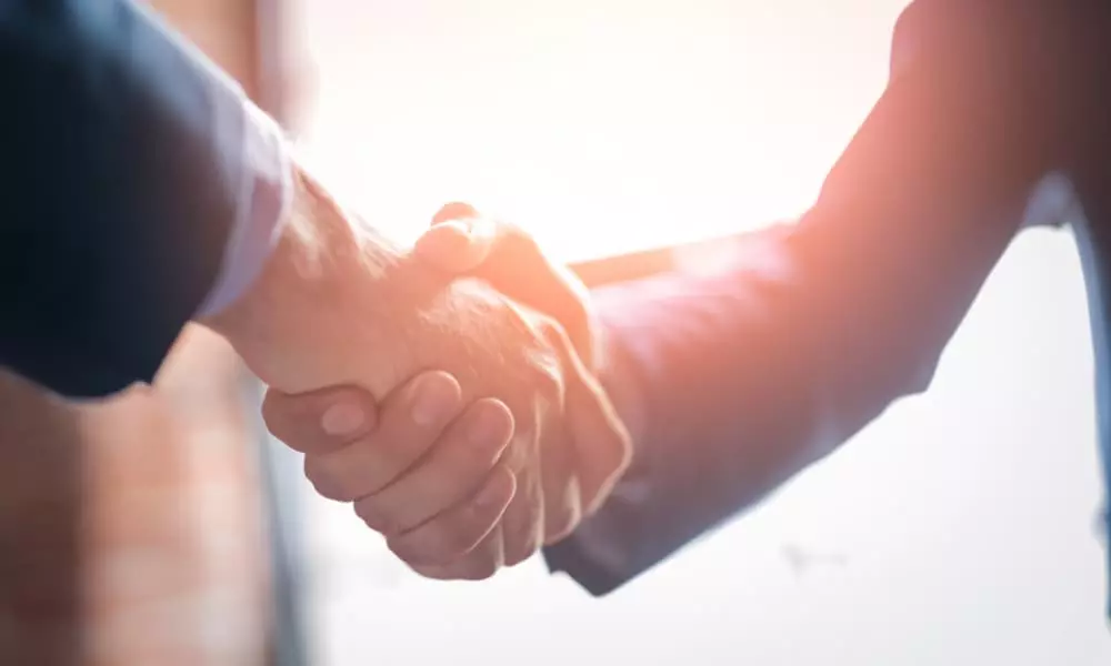 Female and male business people shake hands.